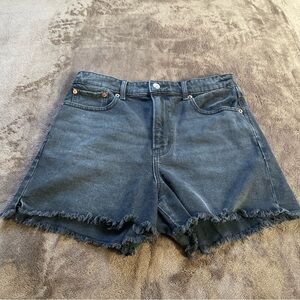 American Eagle Outfitters Black Frayed Hem High-Waist Denim Shorts size 8